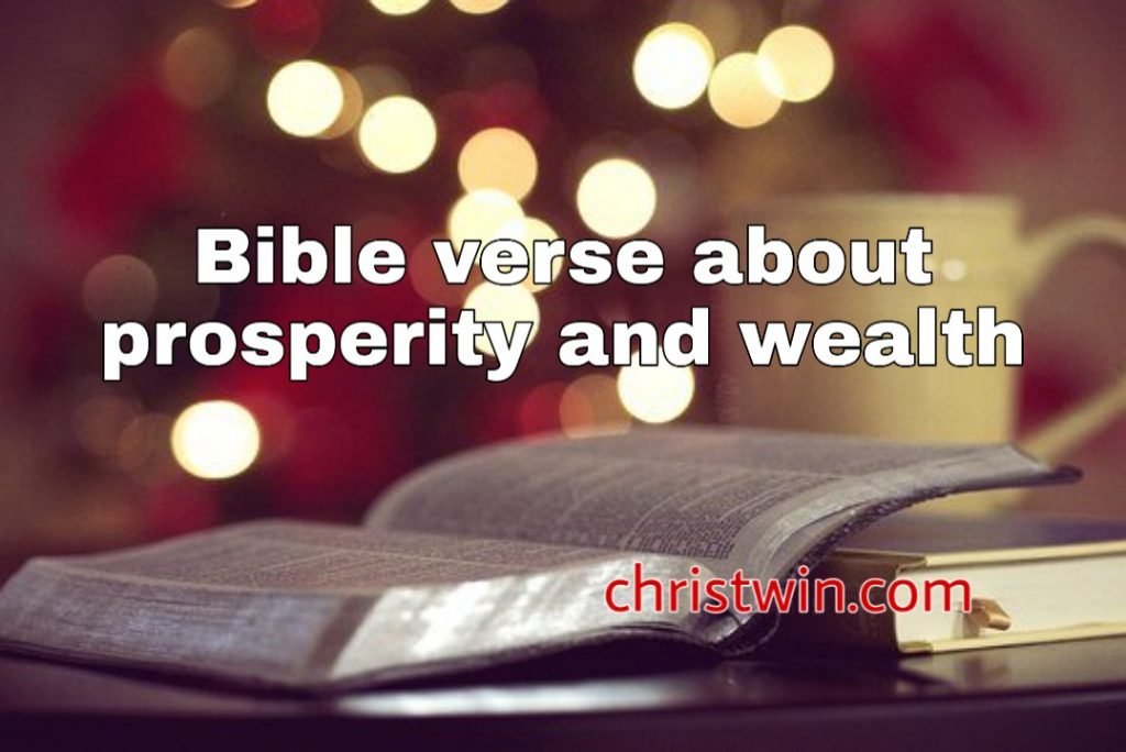 bible verse about prosperity and wealth