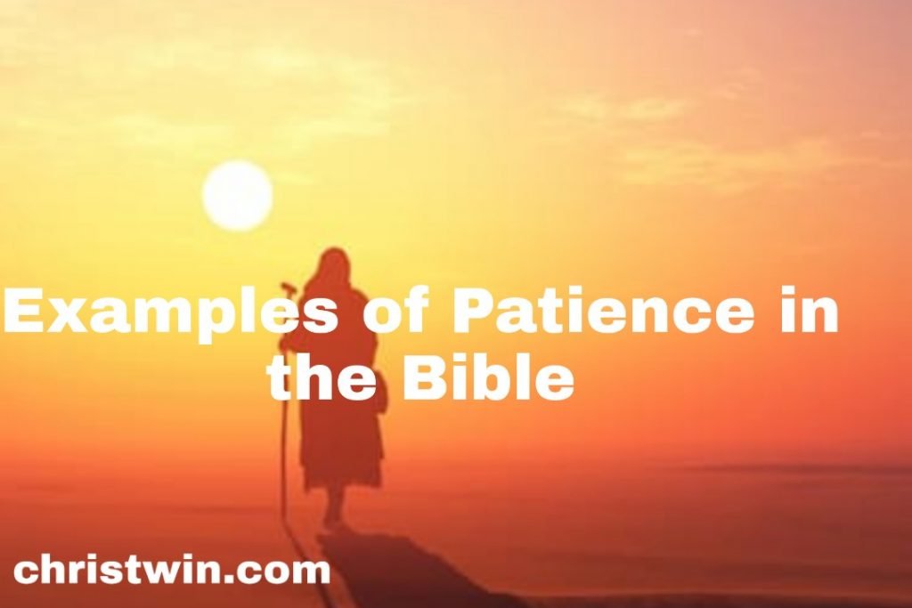 5 stories of patience in the bible