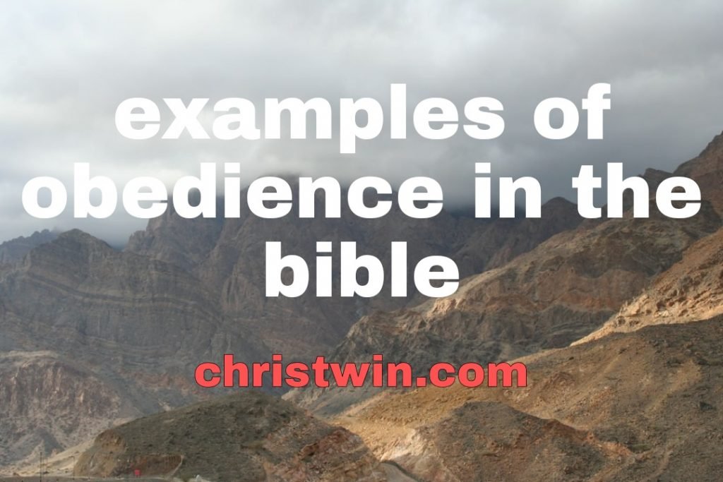 Examples of obedience