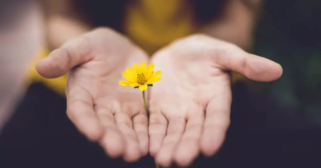 What are the different types of offerings? different types of offerings