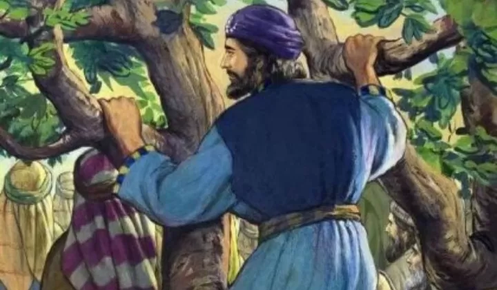 Story Of Zacchaeus