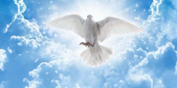 Prayers To The Holy Trinity