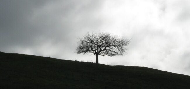 1 Peter 4 – What does it mean to suffer in the flesh?